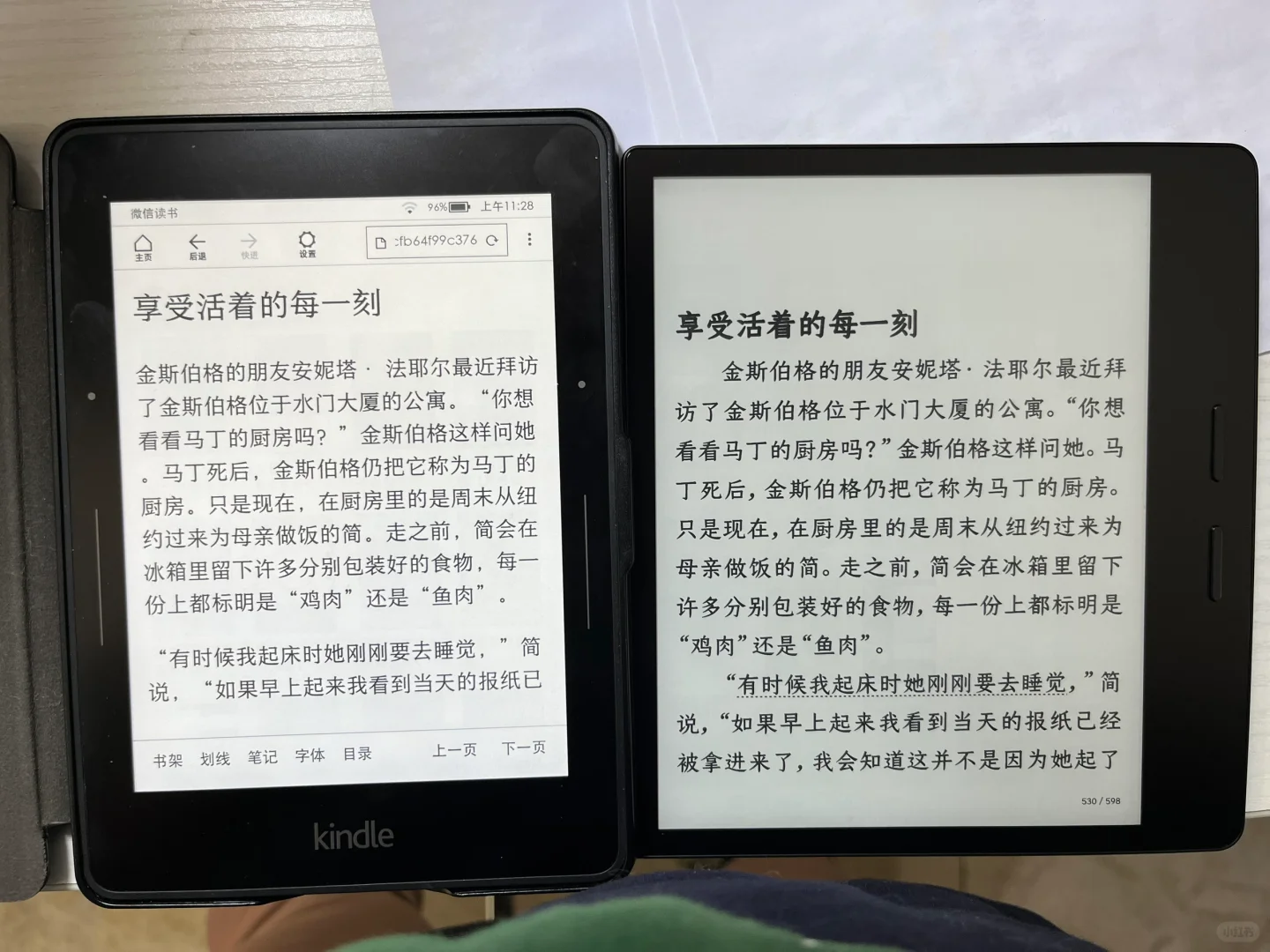 掌阅o4t2025体验