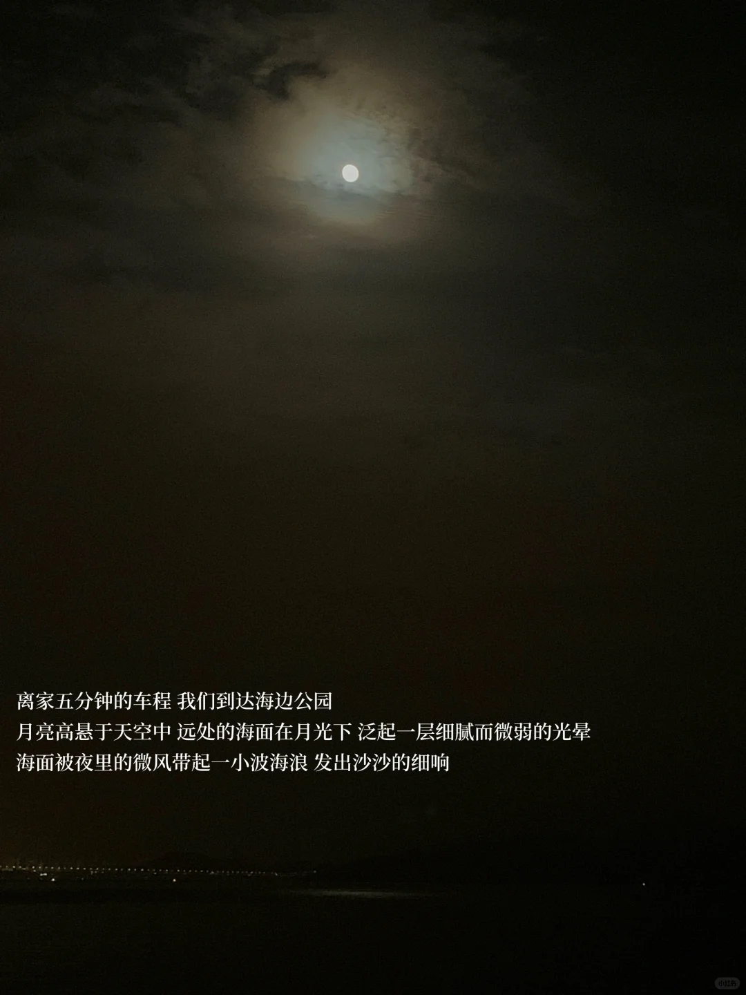 散步 阅读 感受生命流动