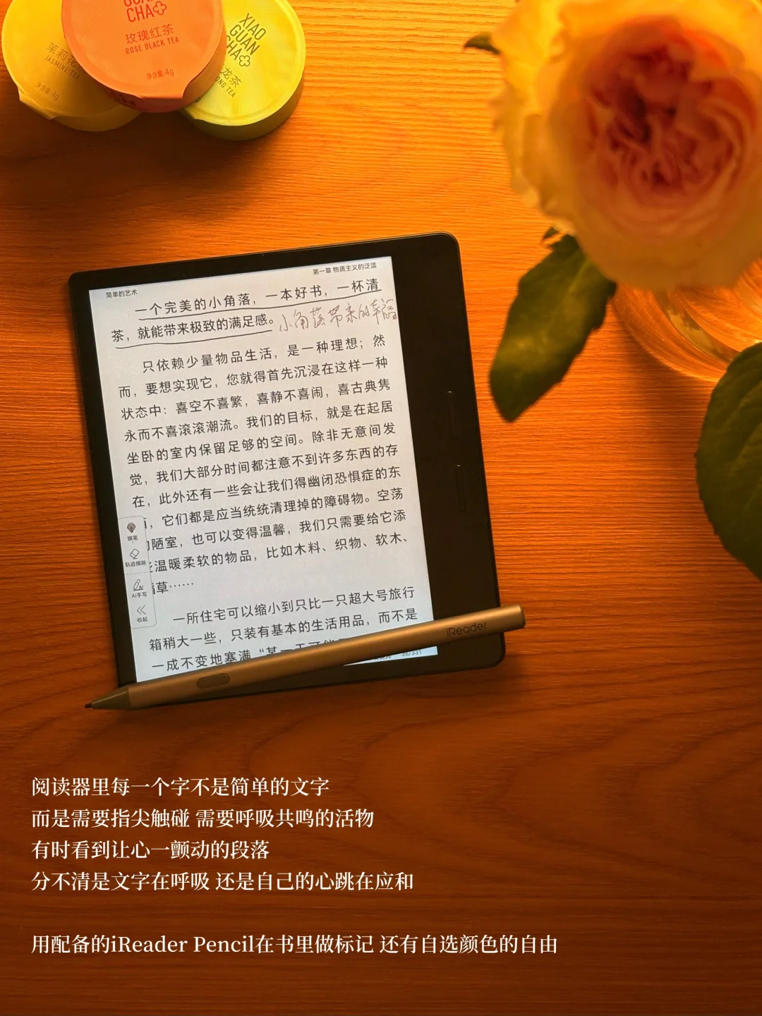 散步 阅读 感受生命流动