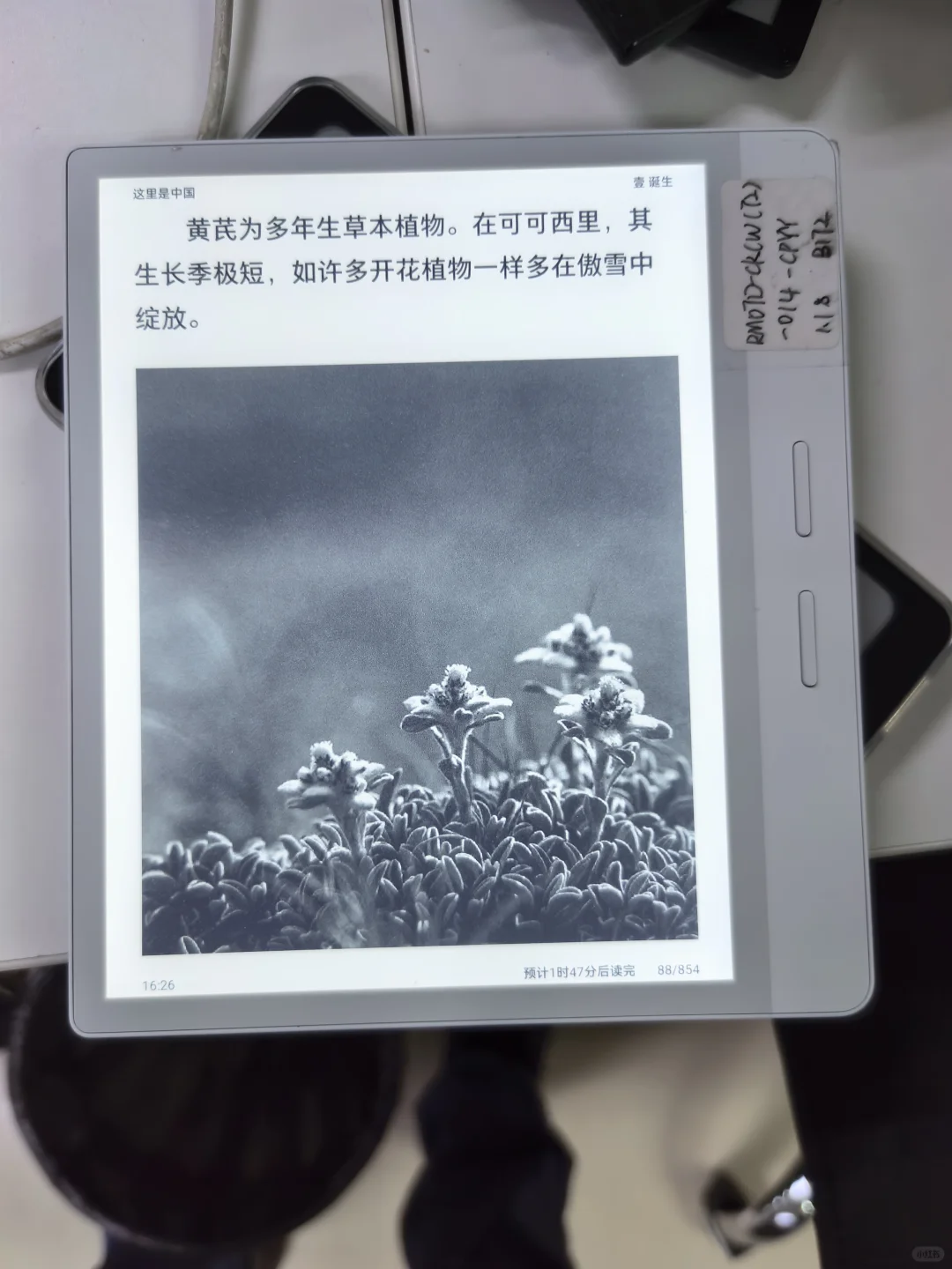 iReader阅读体验