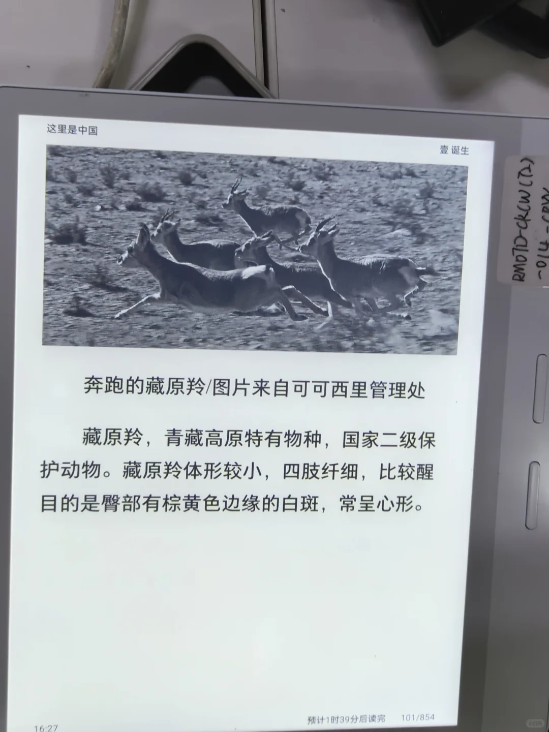 iReader阅读体验