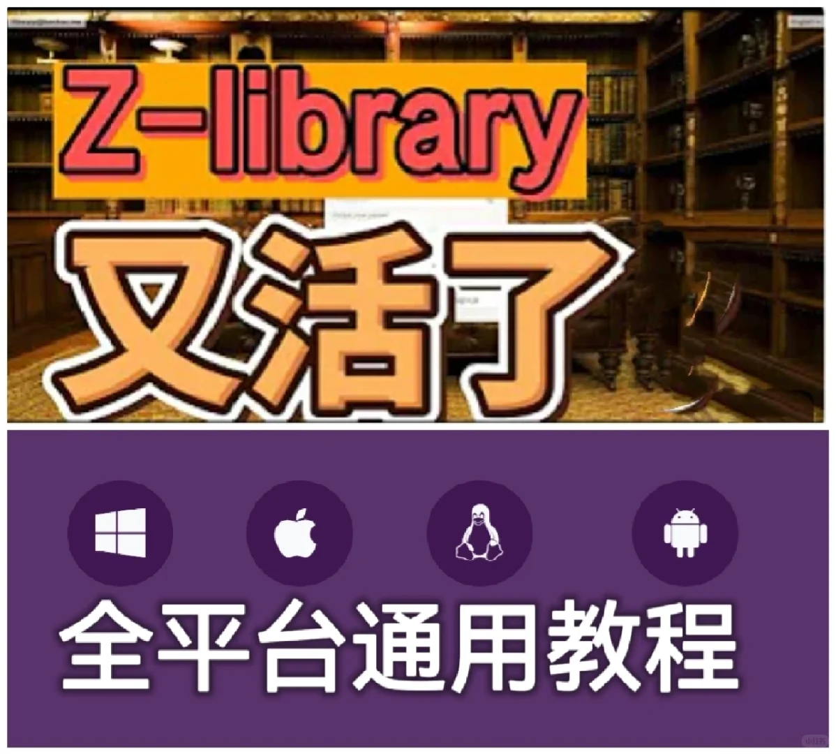 3种方法手把手教你z-library如何进教程