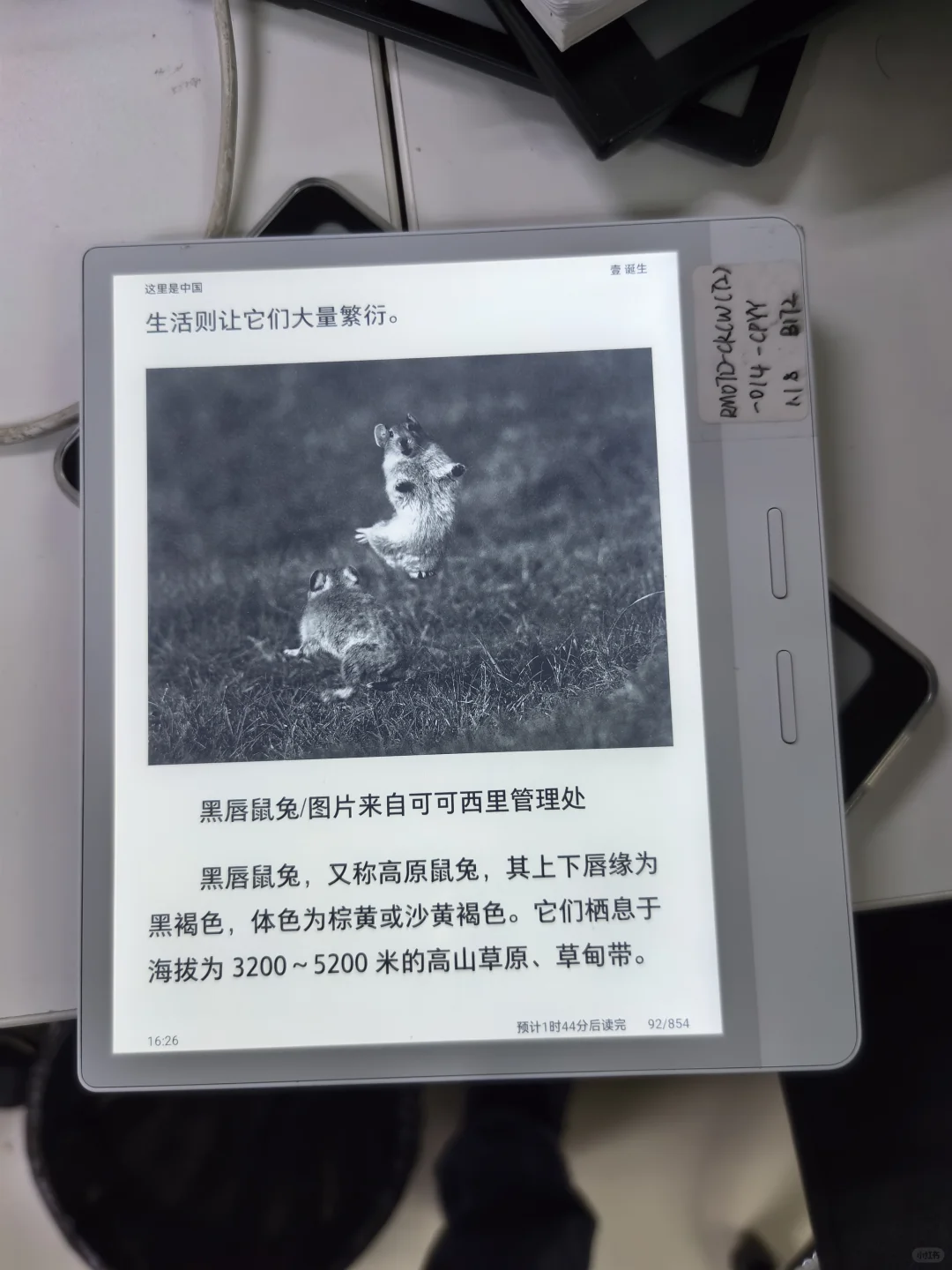 iReader阅读体验