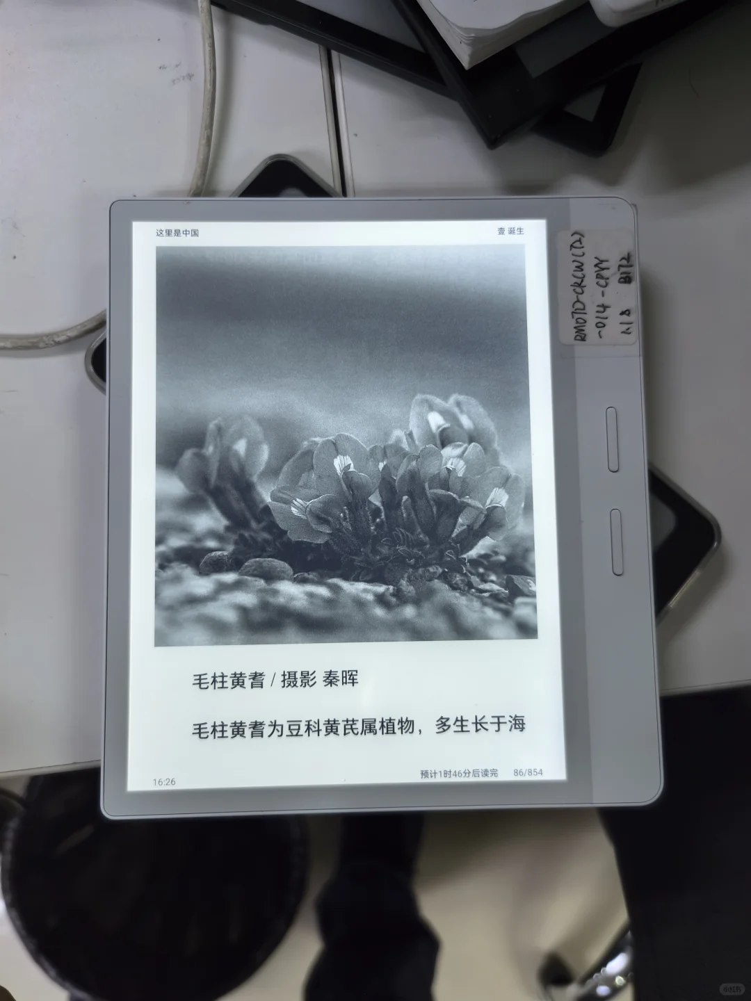 iReader阅读体验