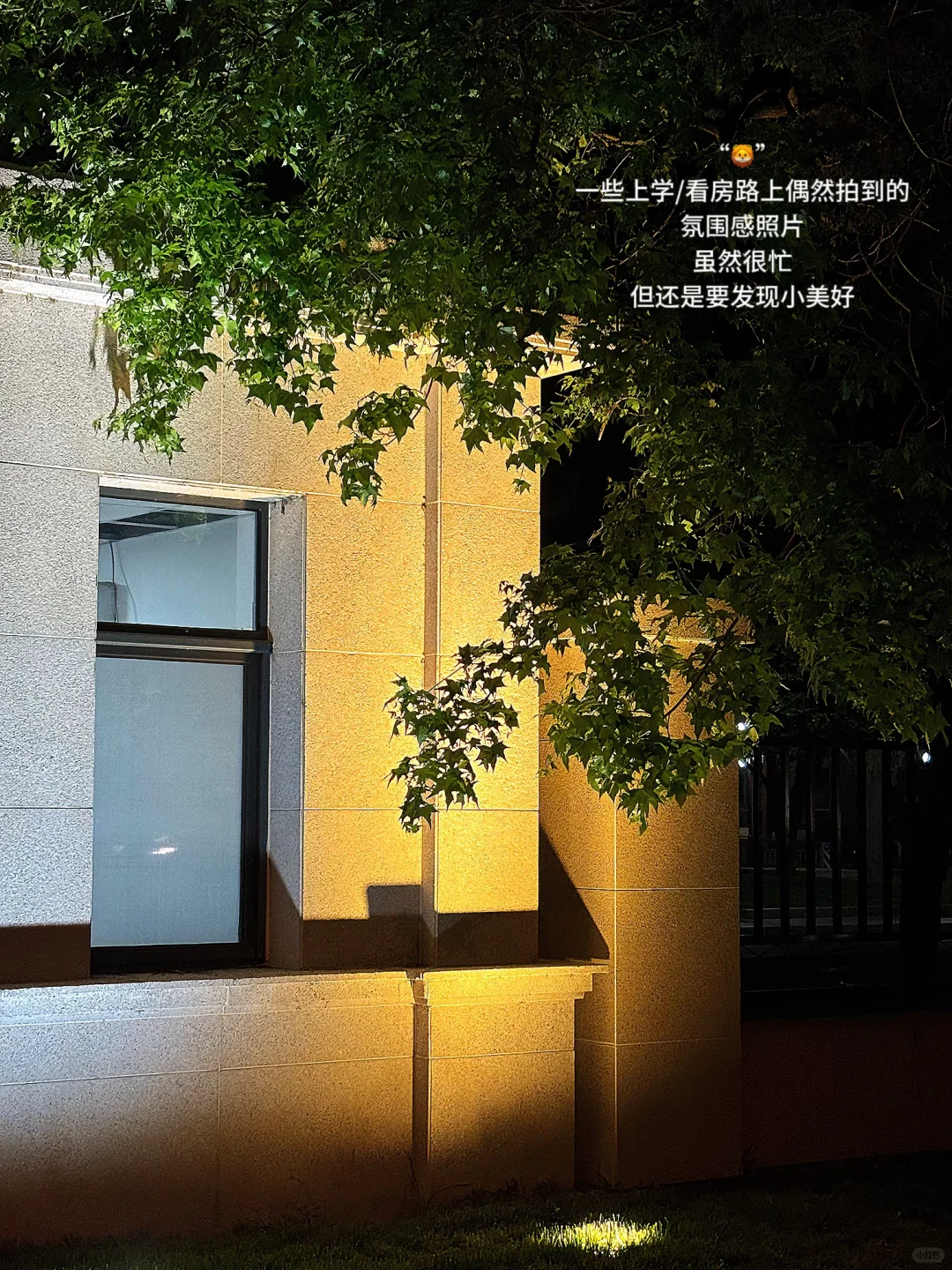 “戒断”手机后，我到了next level