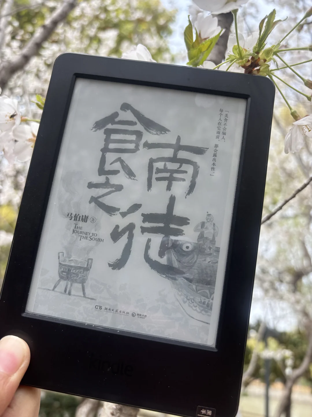 你们的Kindle电子书都是从哪里找的