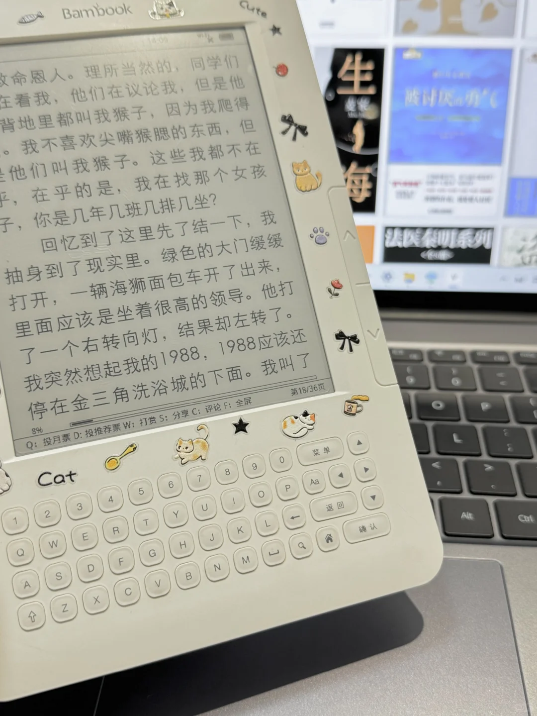 💰50收|白色电纸书，不知有多香