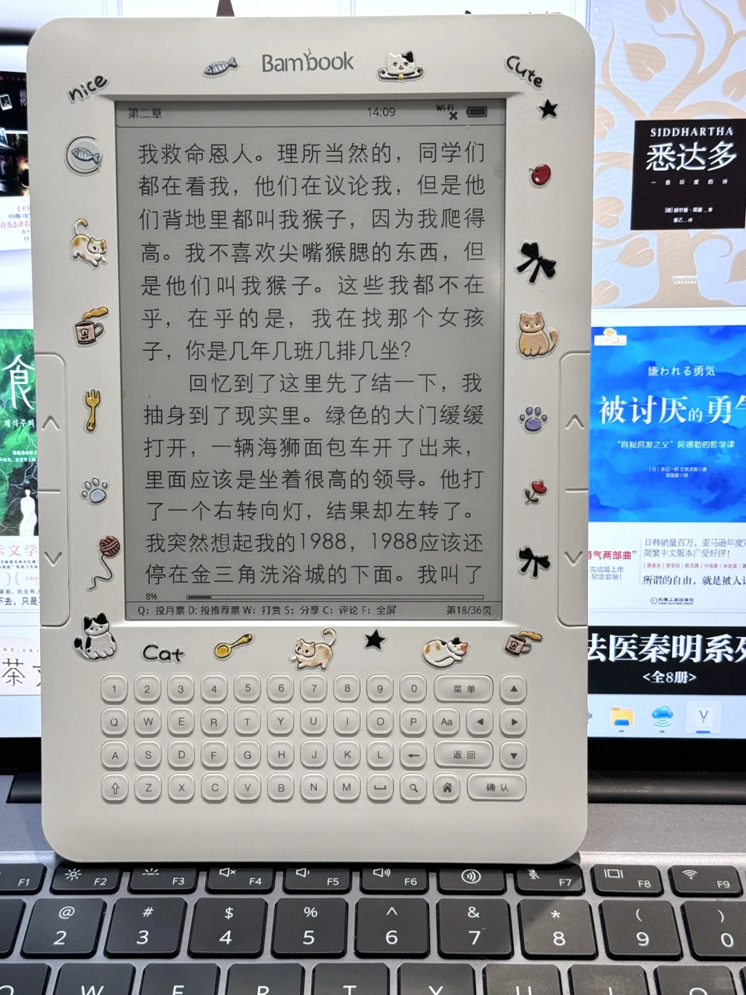 💰50收|白色电纸书，不知有多香