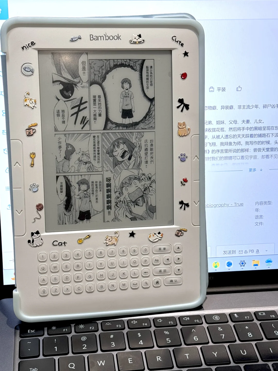 💰50收|白色电纸书，不知有多香