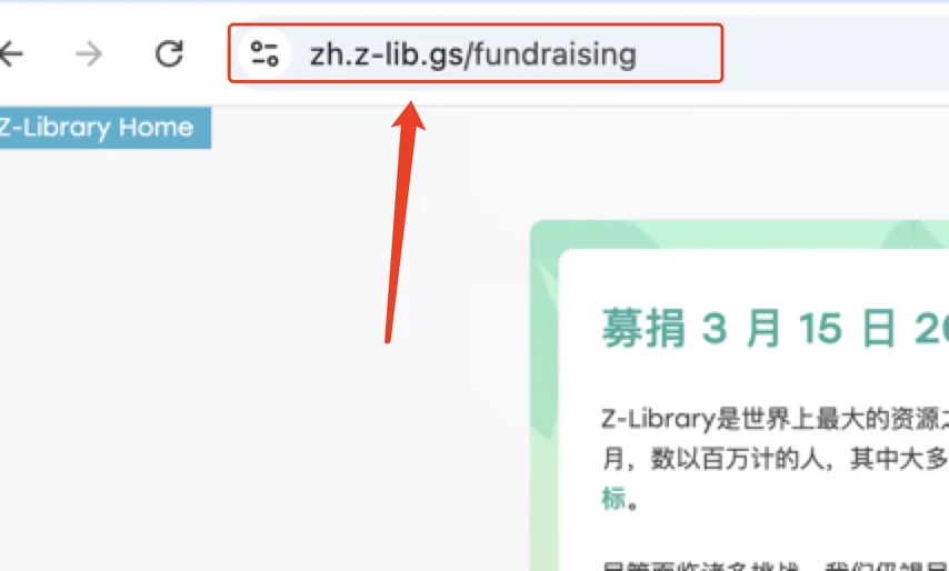 Z-library 捐款怎么调整金额？