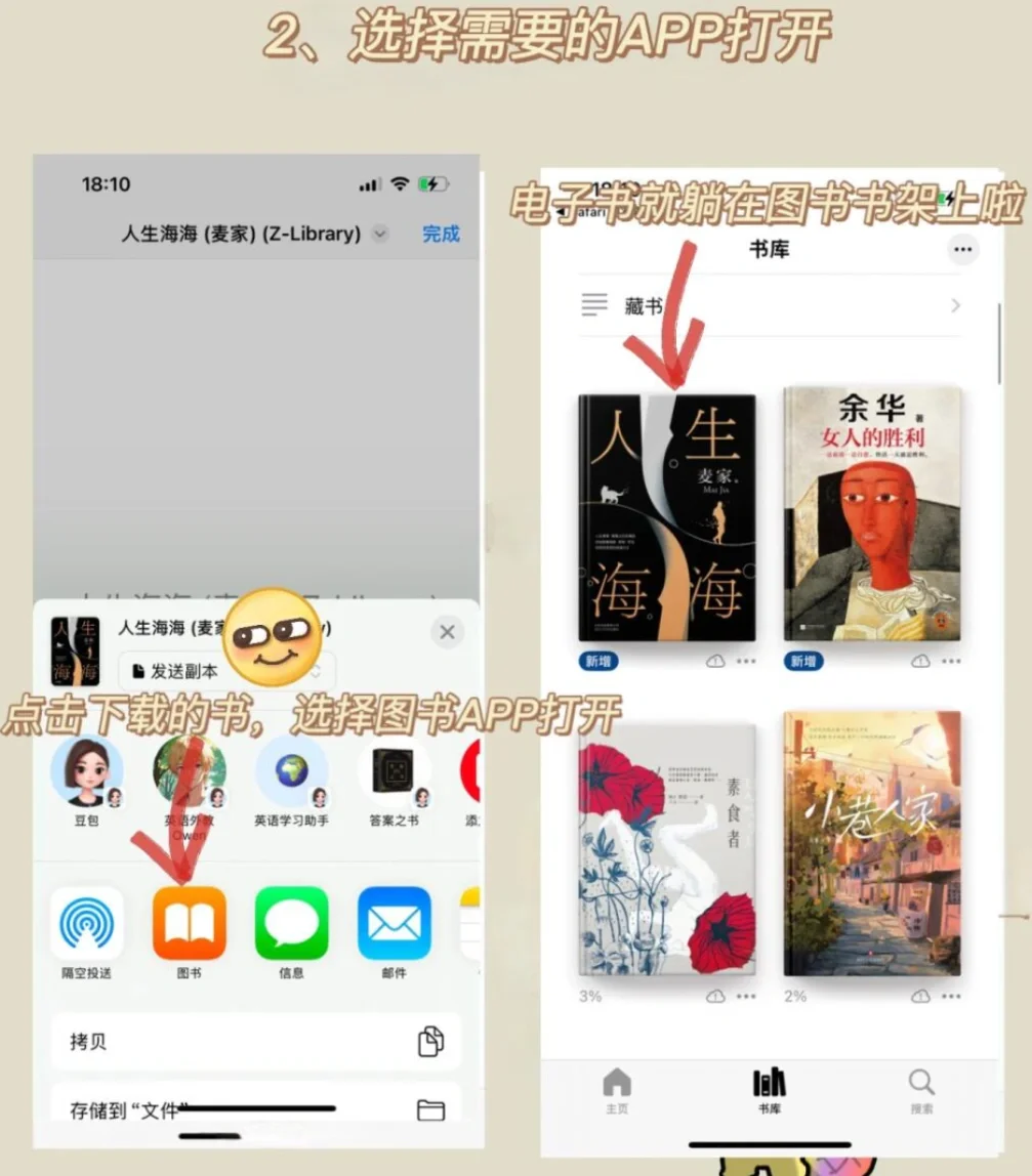 Zlib🕸️(2025年4.21)ipad没有看不了的书🔥