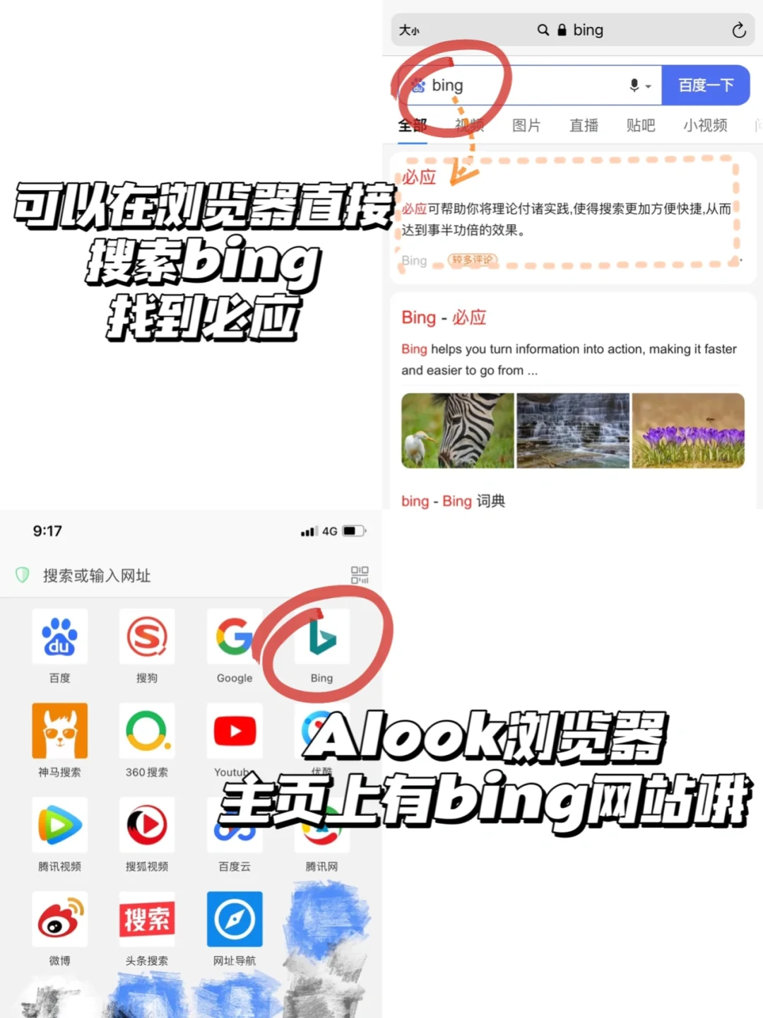 请大数据推给Z-library打不开的宝-第1⃣️期