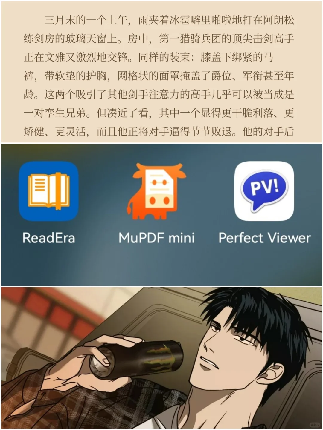 这几个本地阅读器真心不错