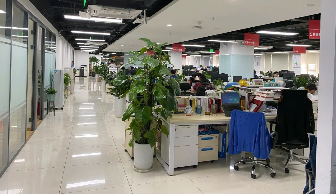 掌阅科技大量招募新同学，内推啦！！