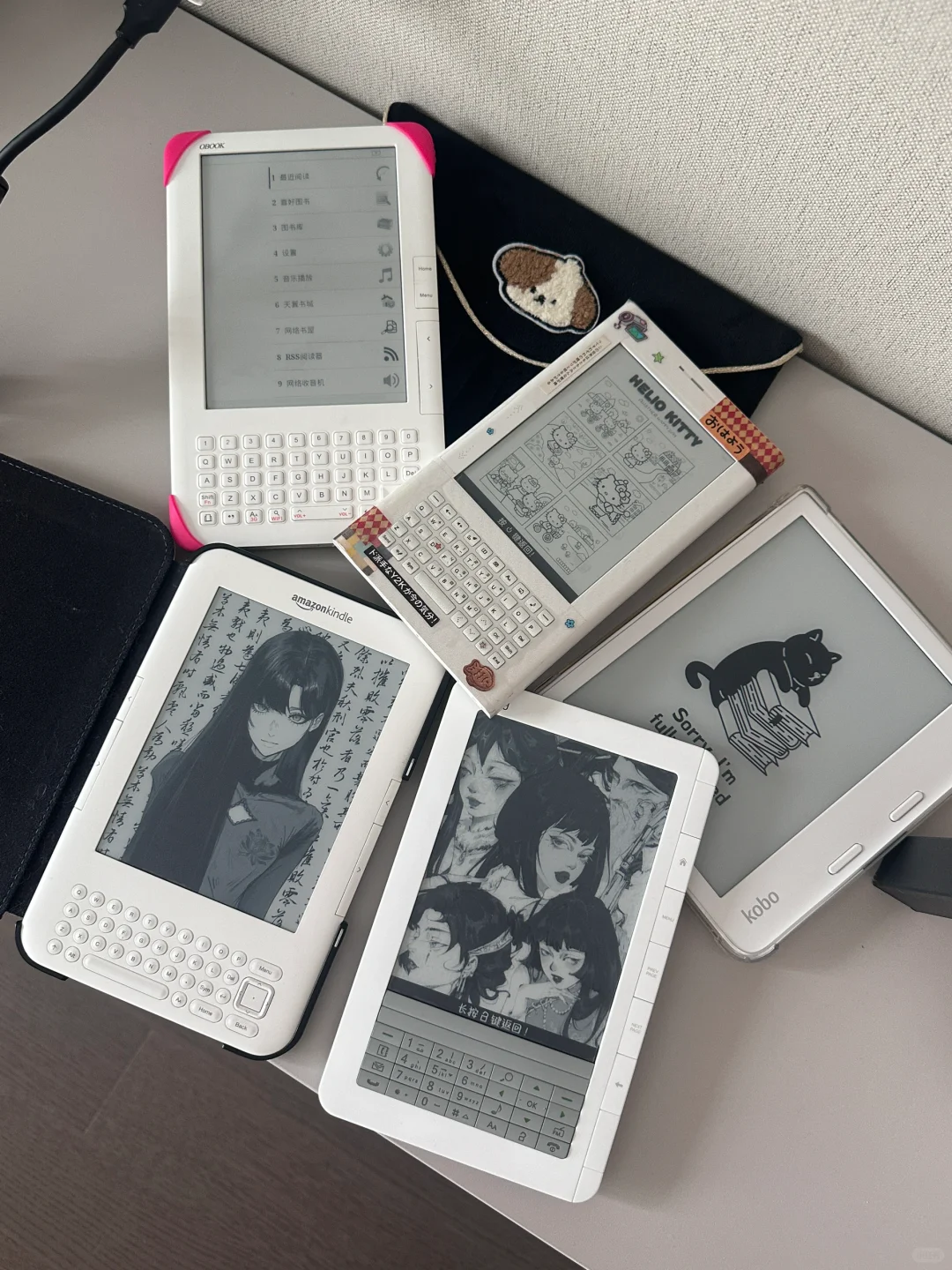 你有这么可爱的白色阅读器进入中国