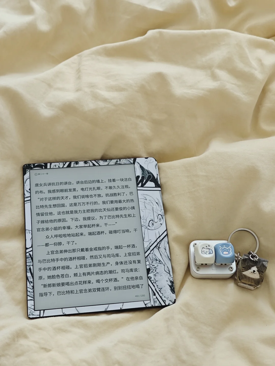 掌阅新品到货