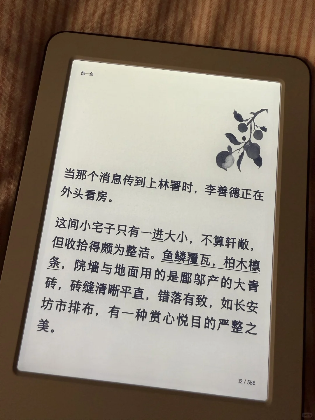 真香！小米多看电子阅读器
