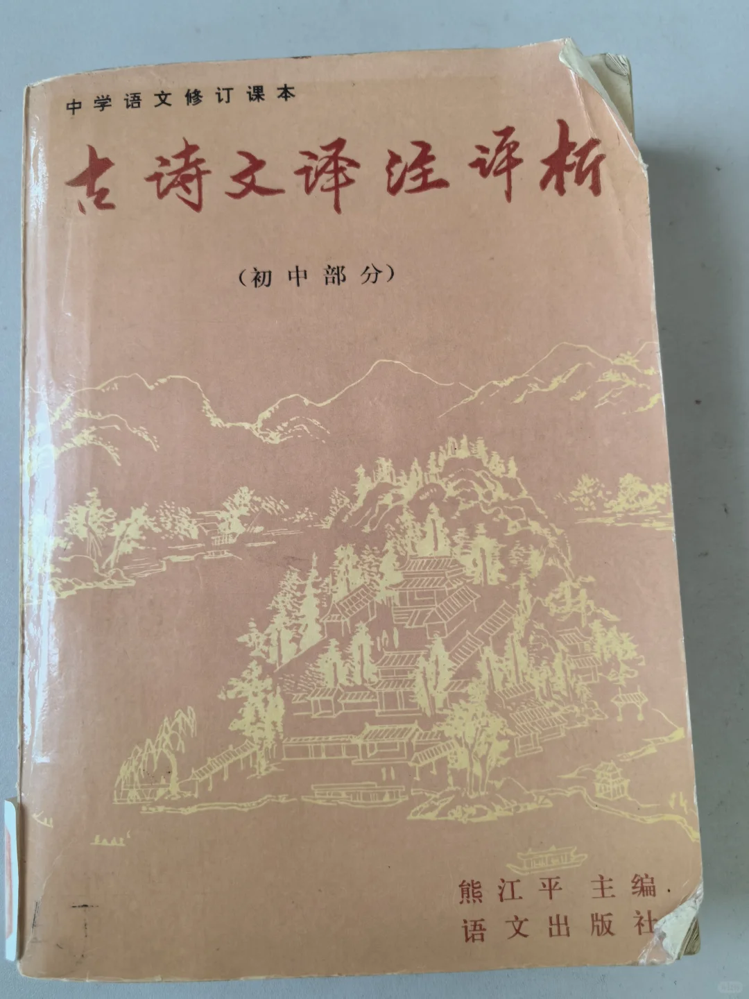 为什么现在的教参文言文不字字落实