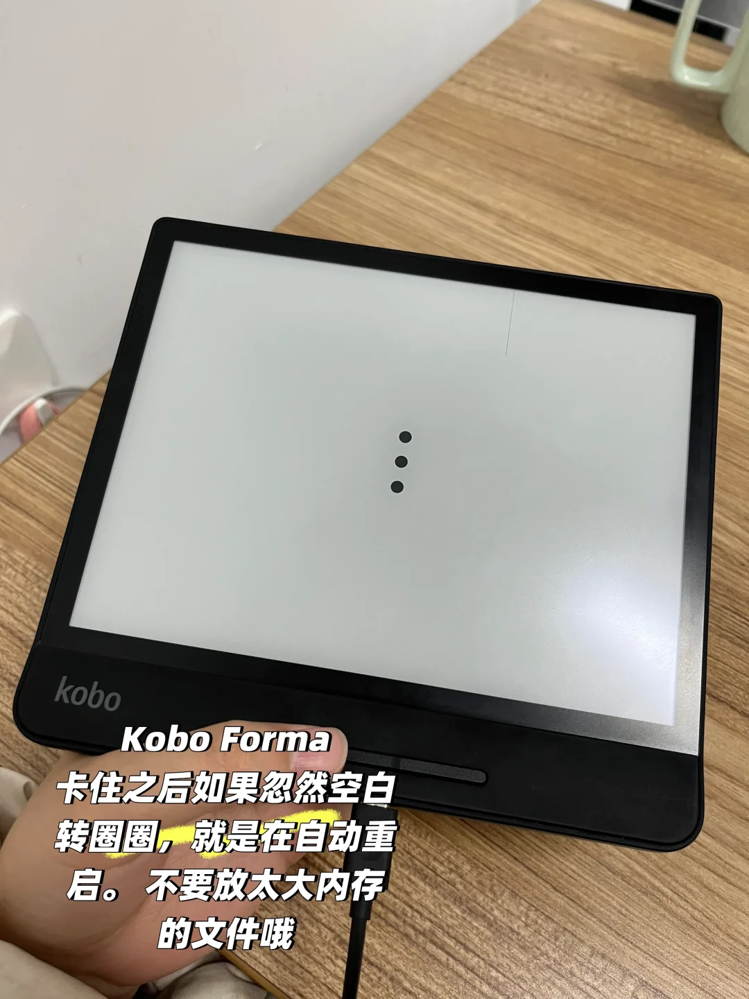 399拿下有横线的kobo Forma（附使用教程
