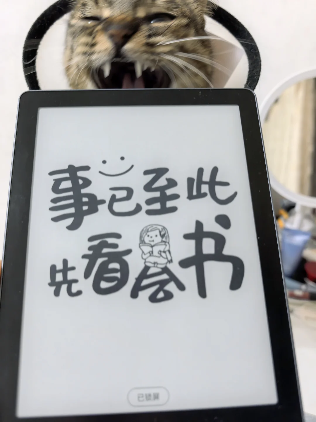 我的第一个电纸书，差点卒于喵口😂😂