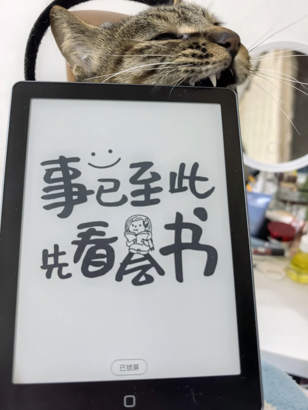 我的第一个电纸书，差点卒于喵口😂😂