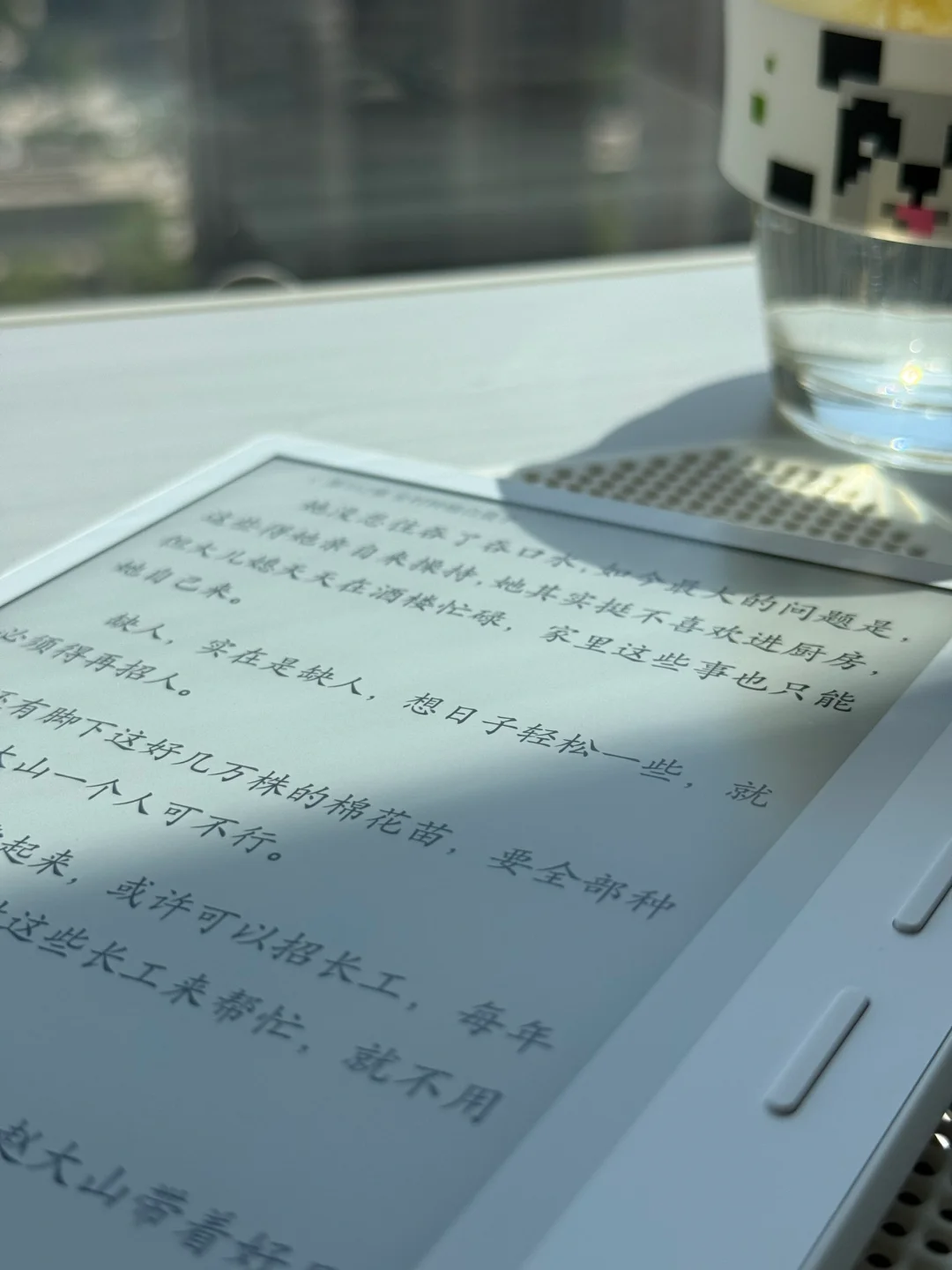 ☀️ 阳光下，我的纯白阅读伴侣