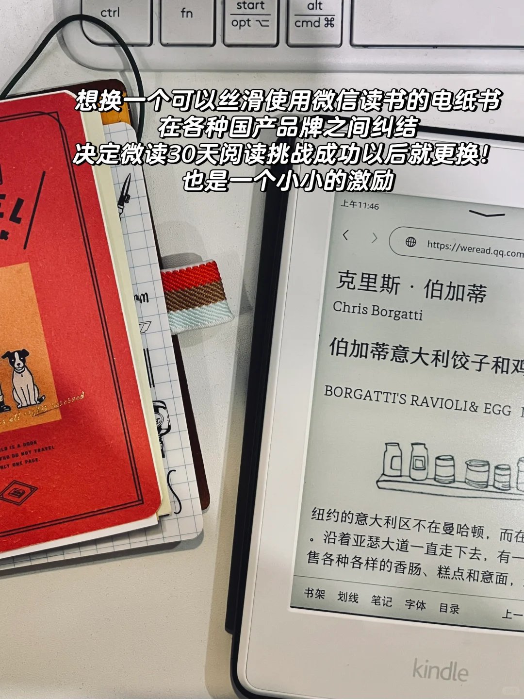 PLOG🌿|电纸书更换倒计时10/30