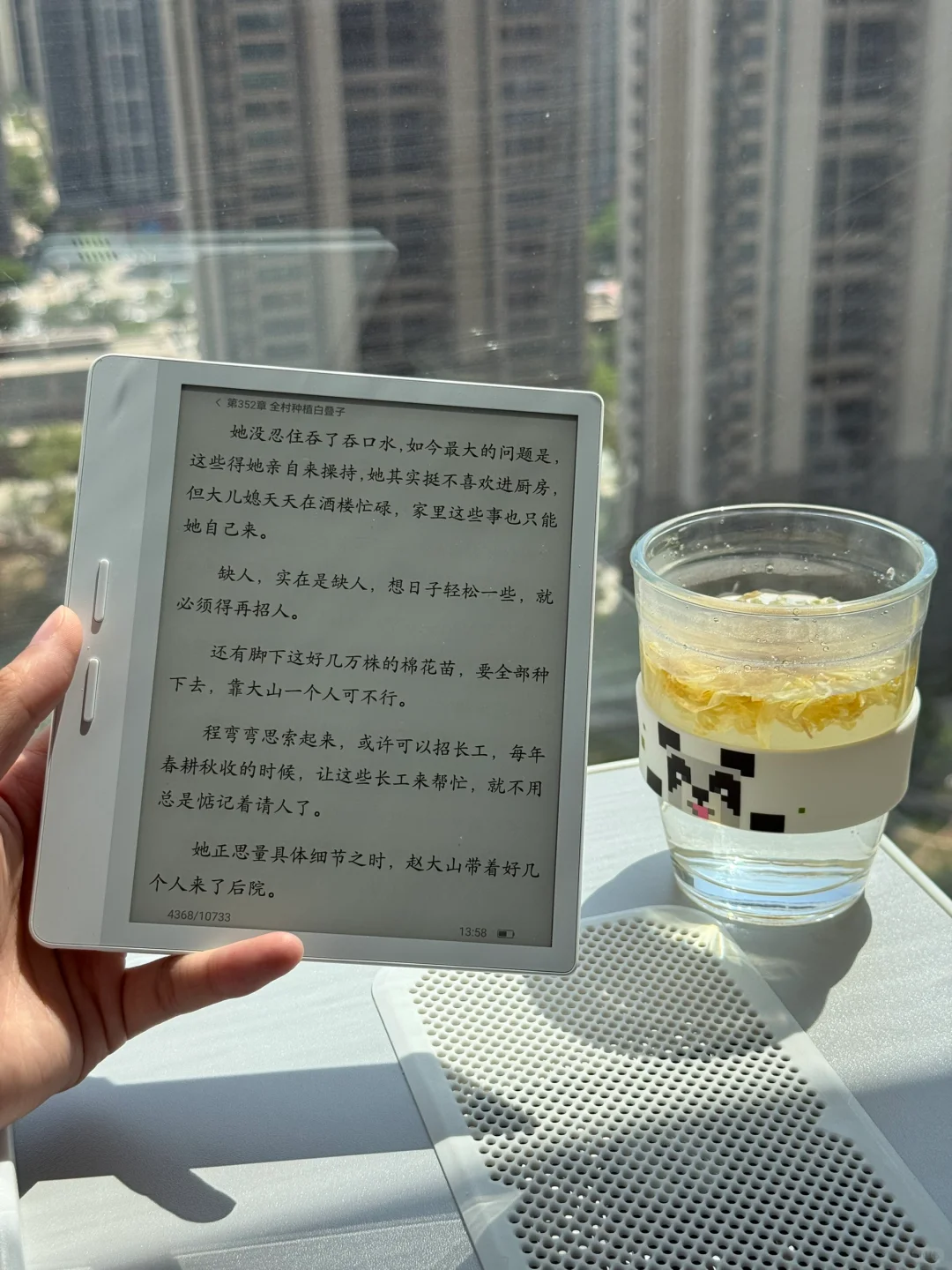 ☀️ 阳光下，我的纯白阅读伴侣
