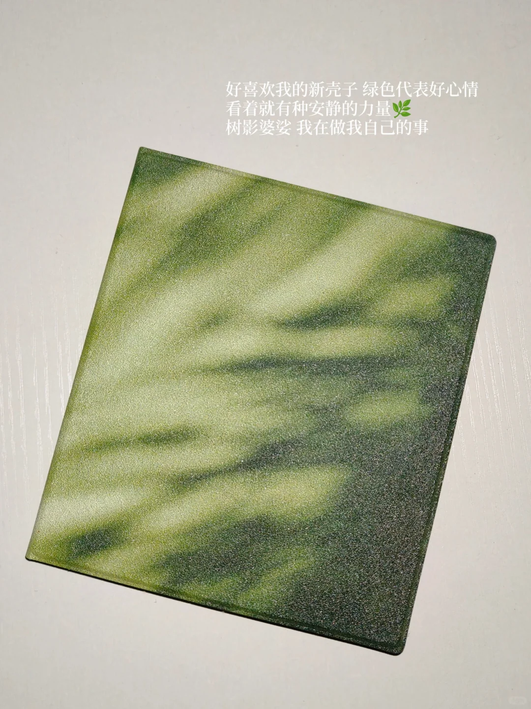好喜欢我的阅读器壳子呀💚