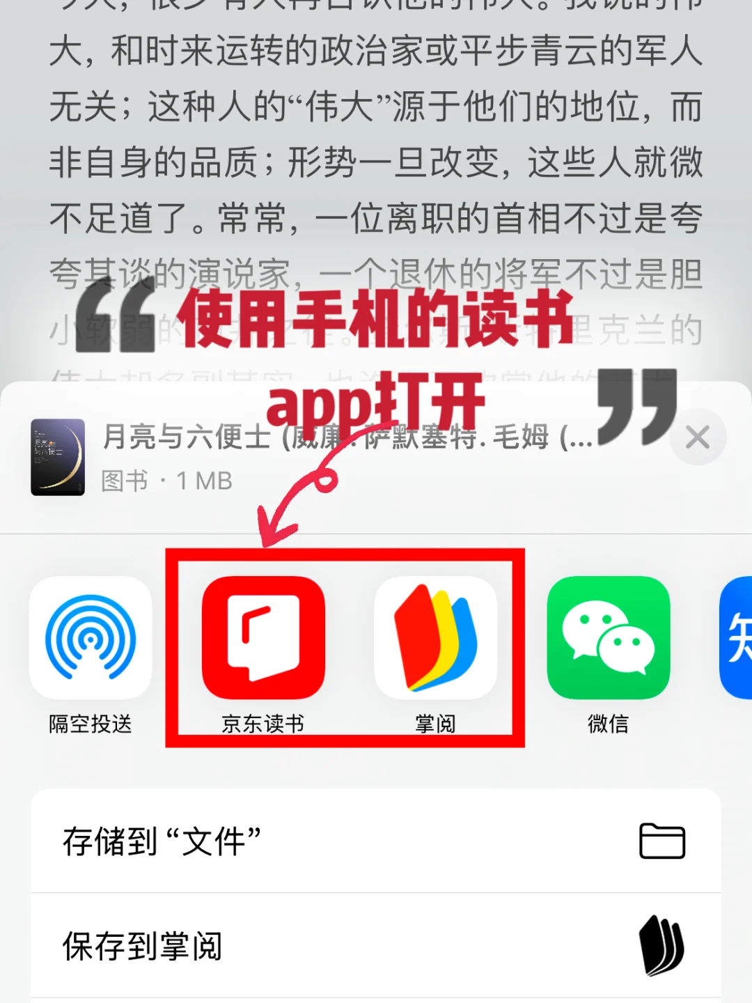 电子书自由啦🚀看不完 根本看不完✔️