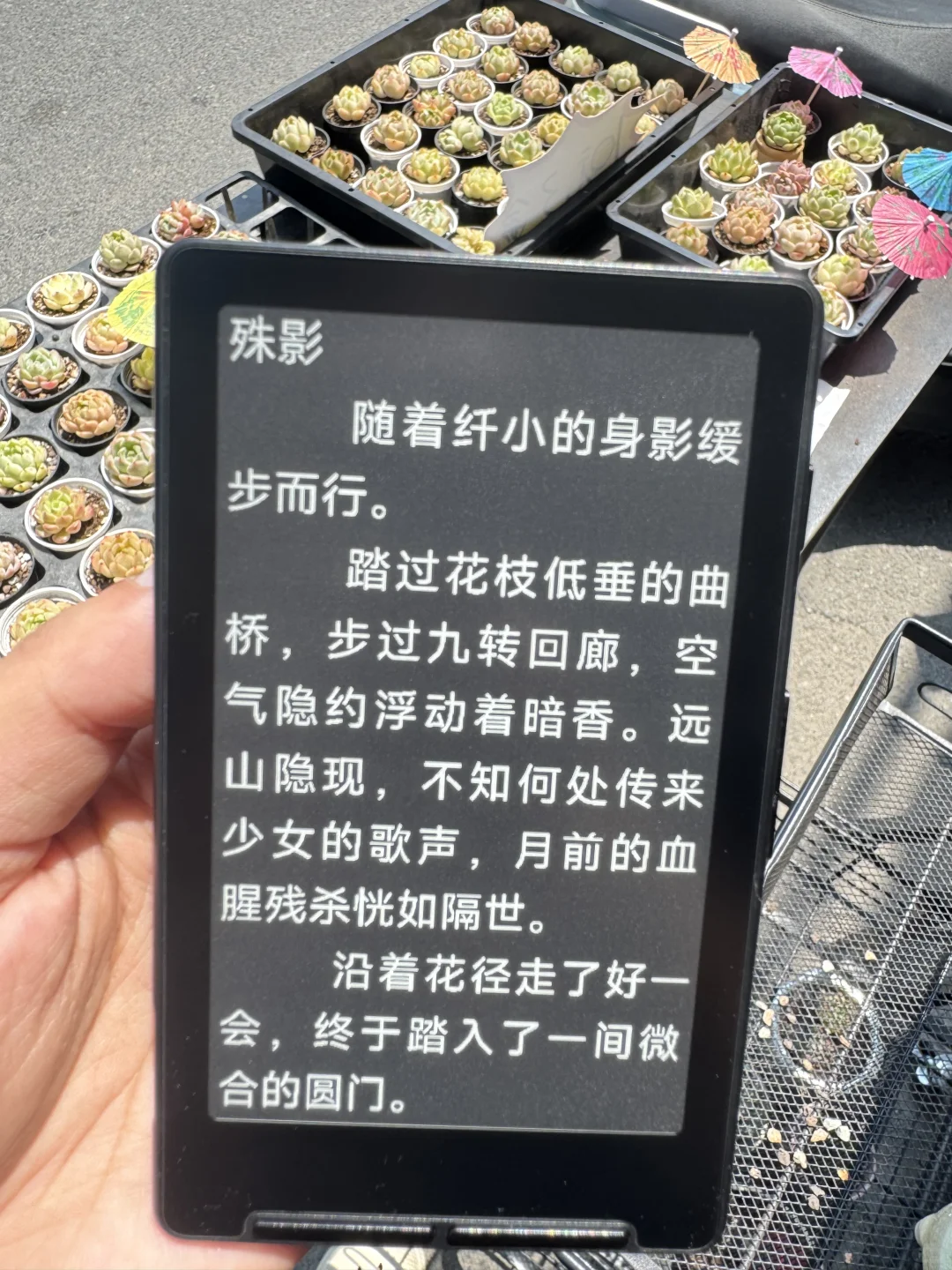 阅星曈阅读器～
