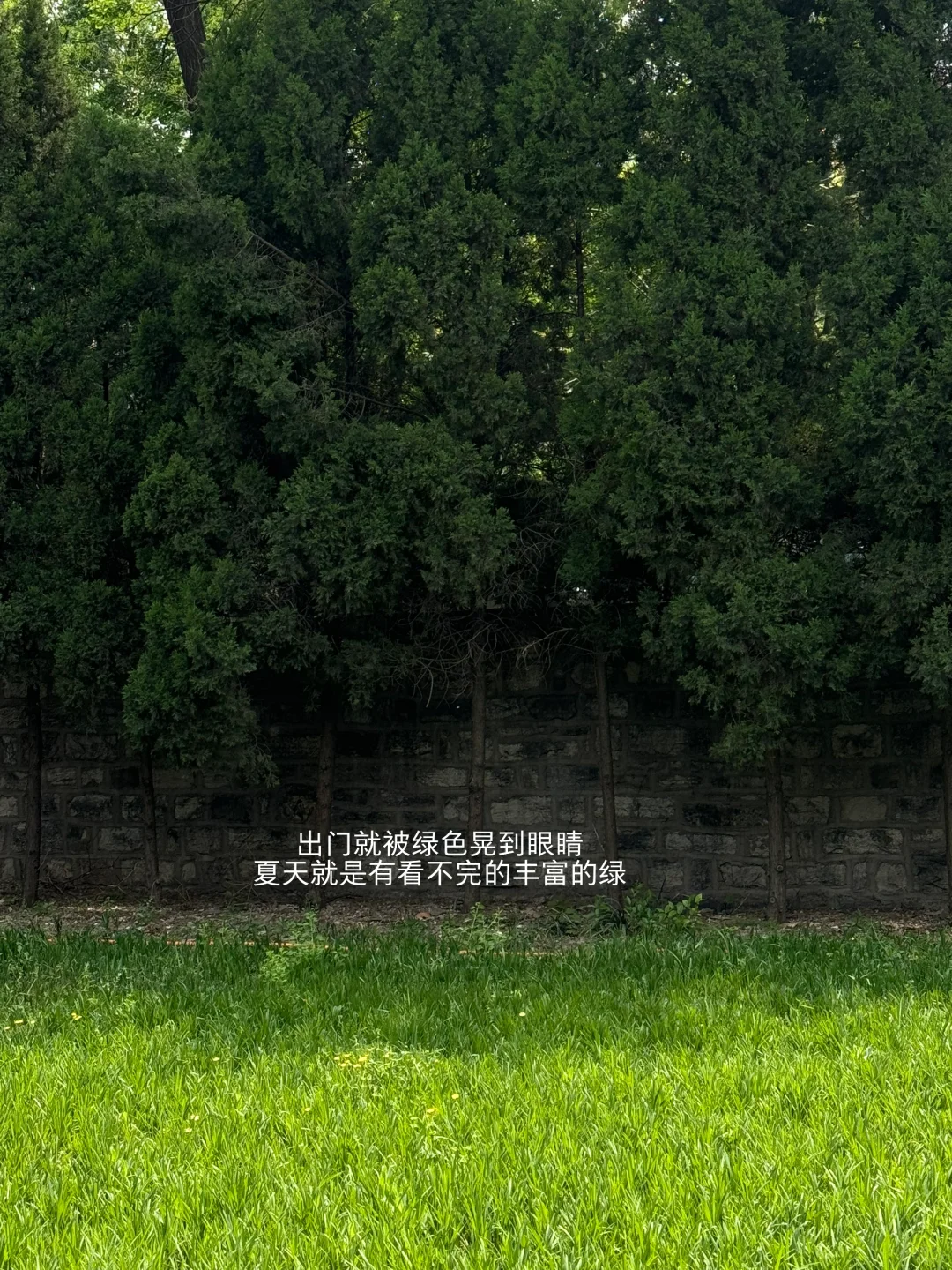 慕强的终点是崇拜自己