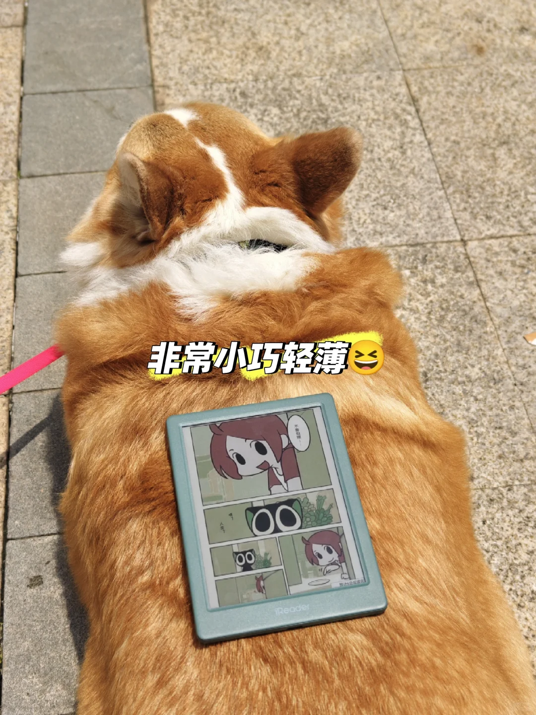 主角来自掌阅彩屏