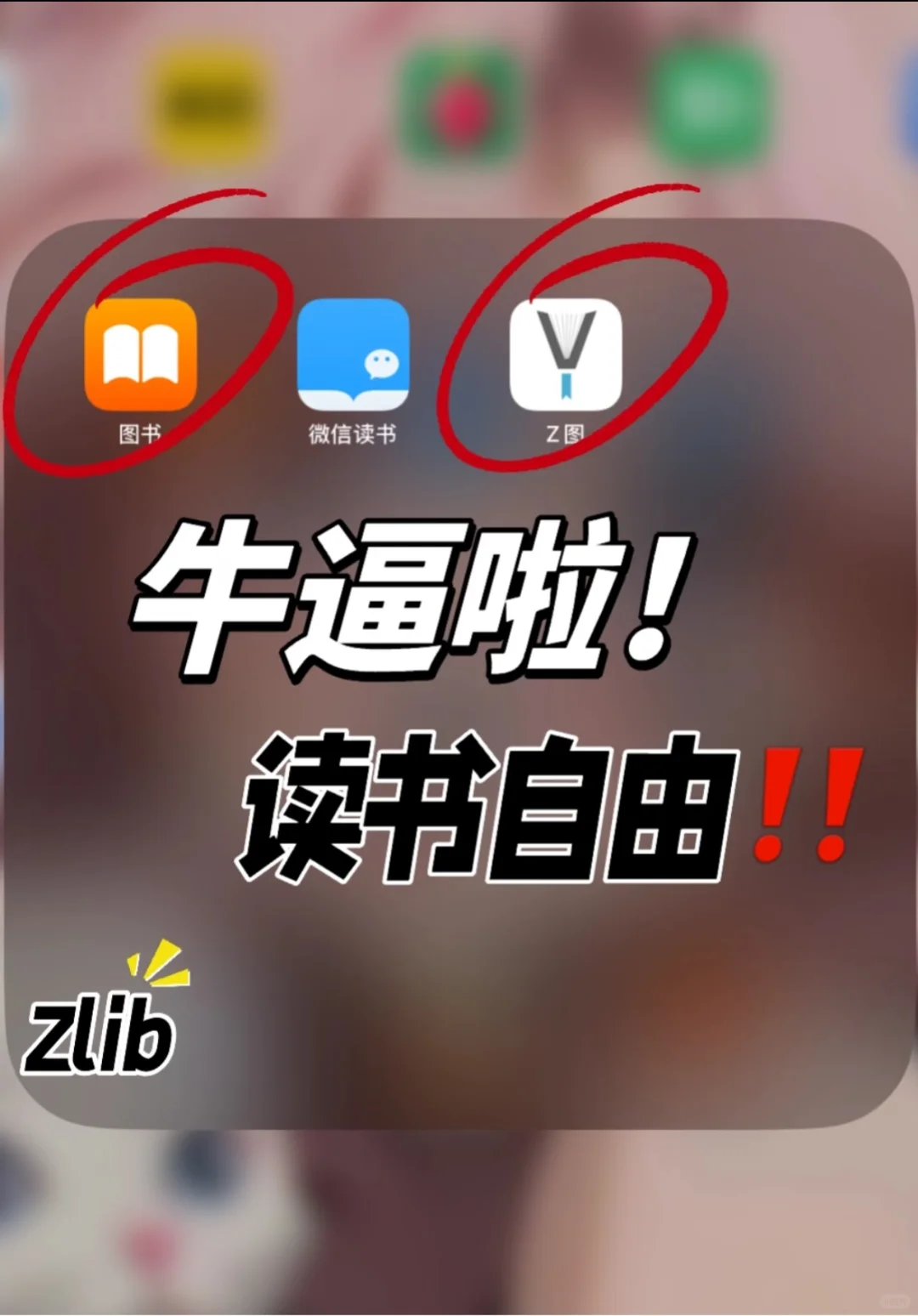 ✅实现电子书自由🔥我的iPad秒变图书馆