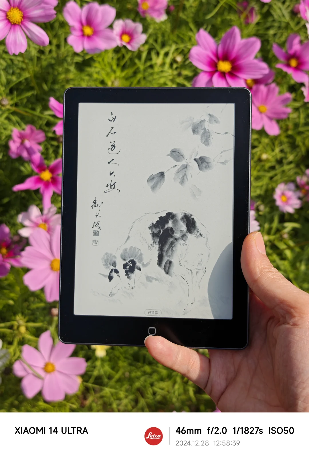 kindle和汉王6pro对比