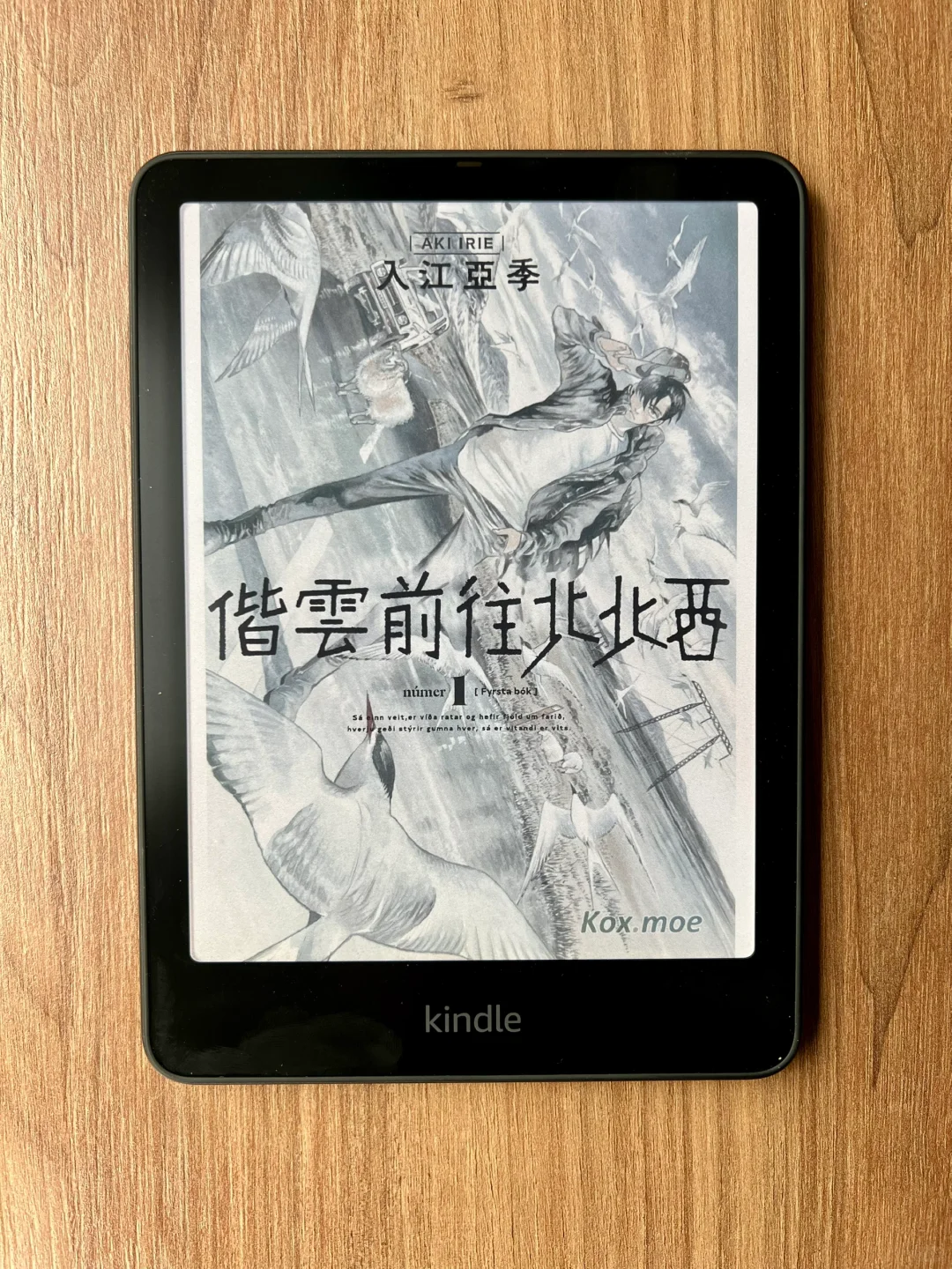 还是入了Kindle Colorsoft，彩漫新搭子