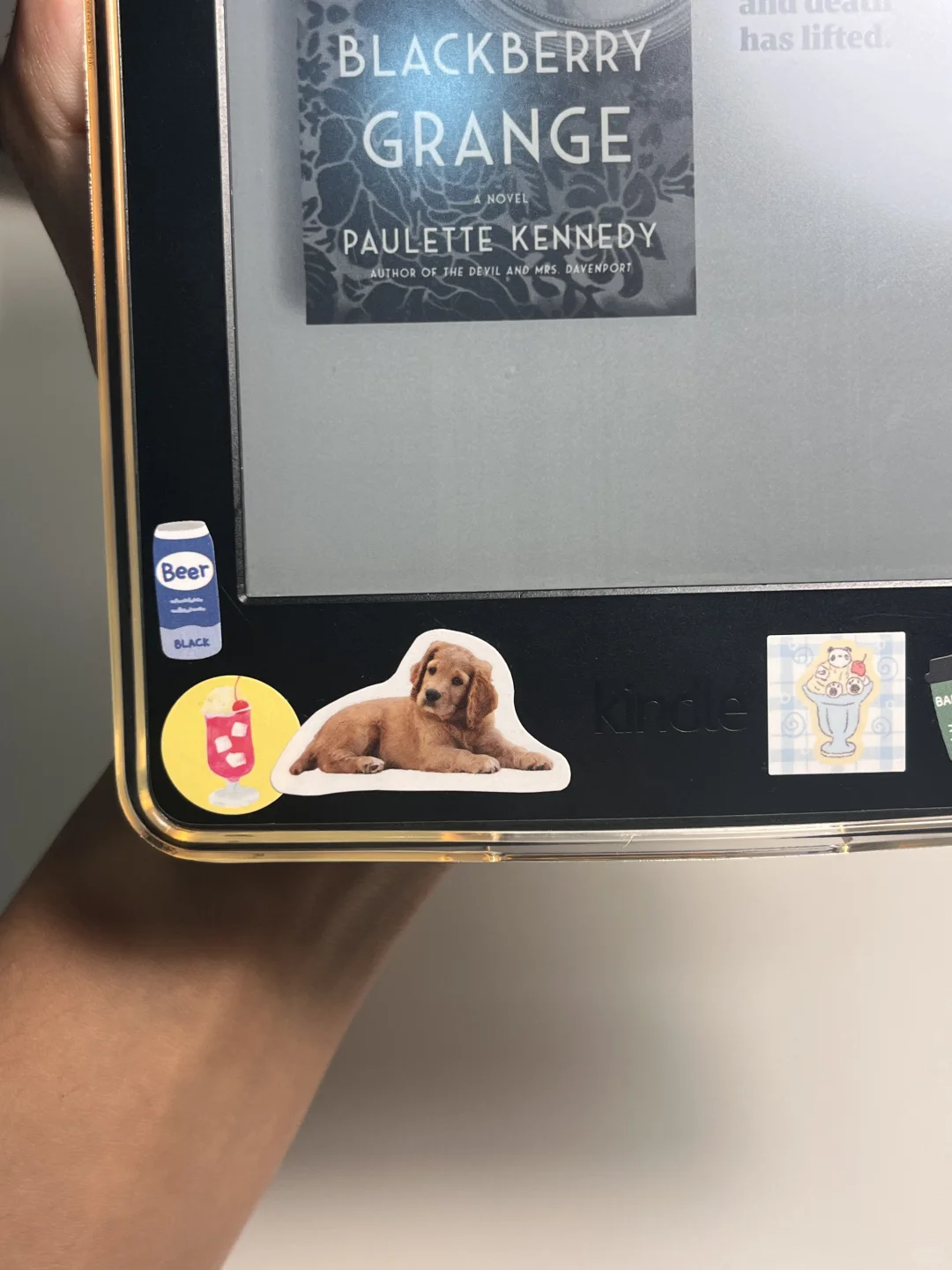 我的电子阅读器! 📲💫