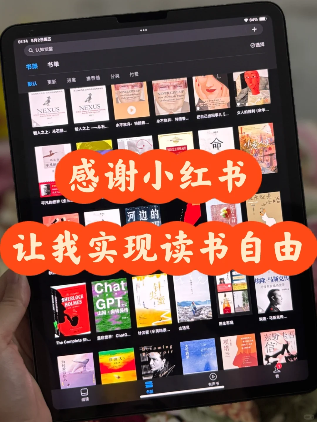 📚 电子书自由真的被我搞定了！Zlib回归😭
