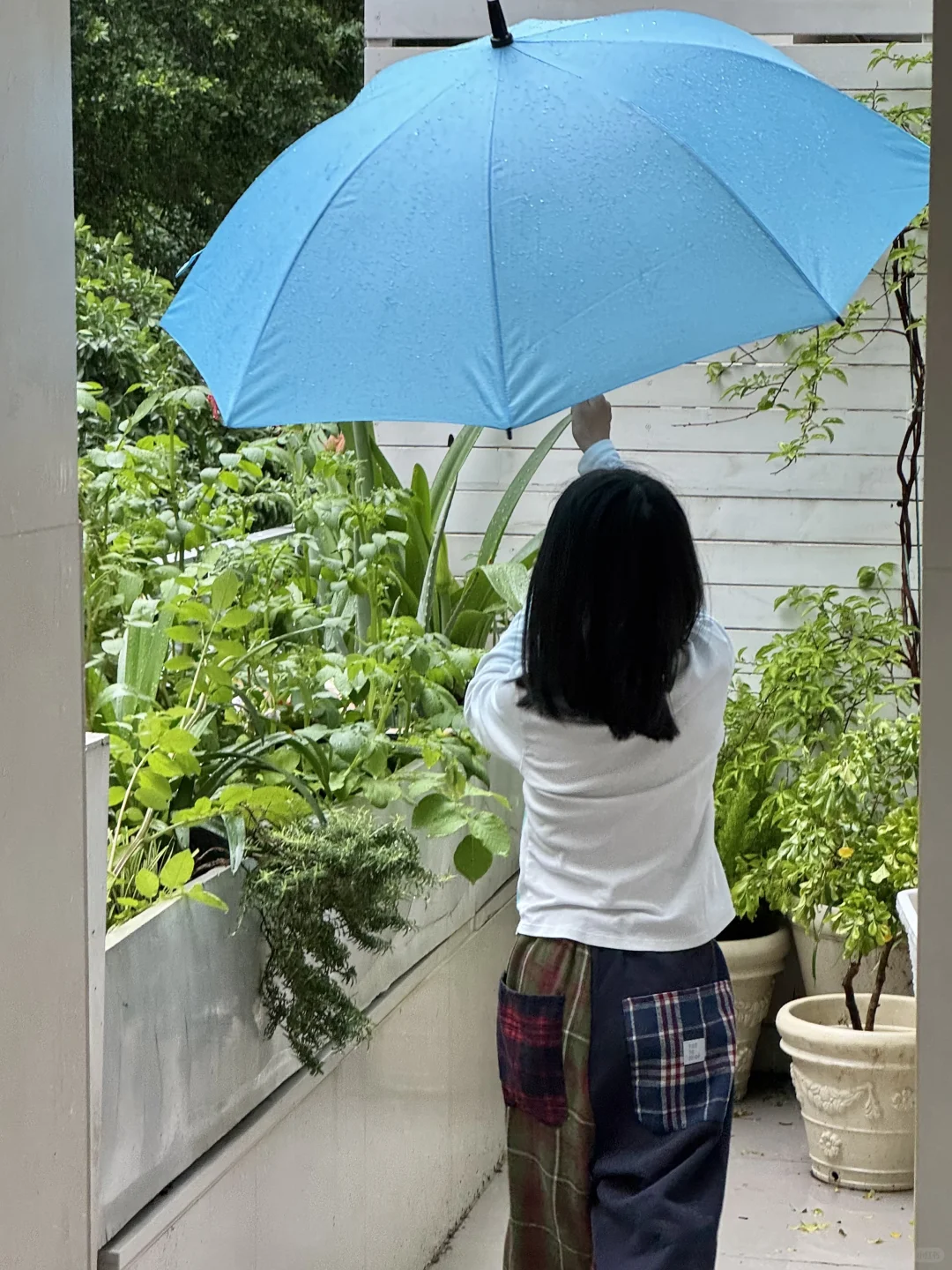 这个画面最终还是让我买了电纸书