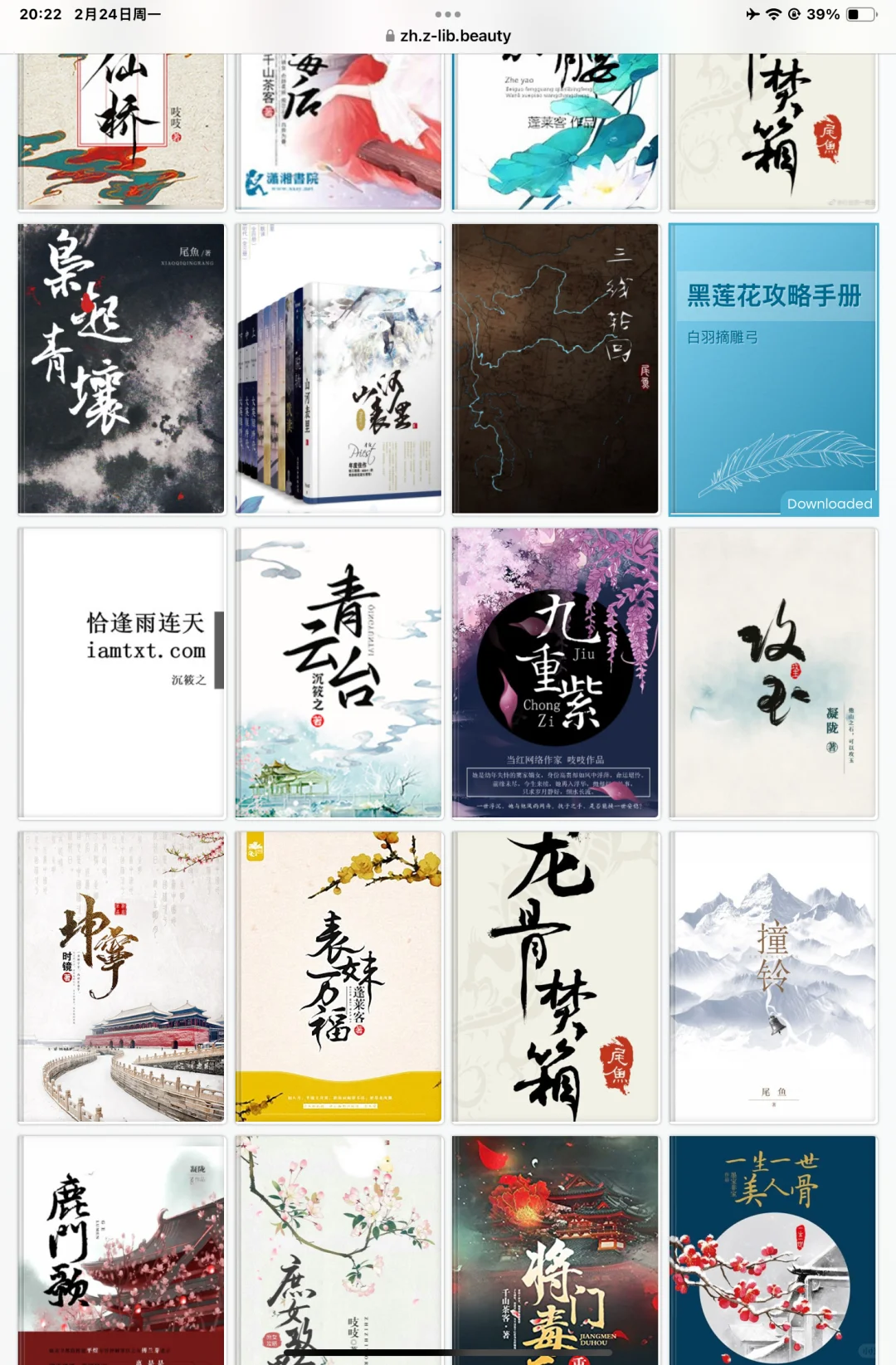 zlibrary 🚀🚀一个小说迷的世界