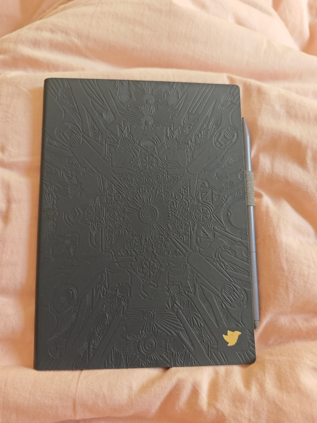 闲置的科大讯飞air2当电纸书用了