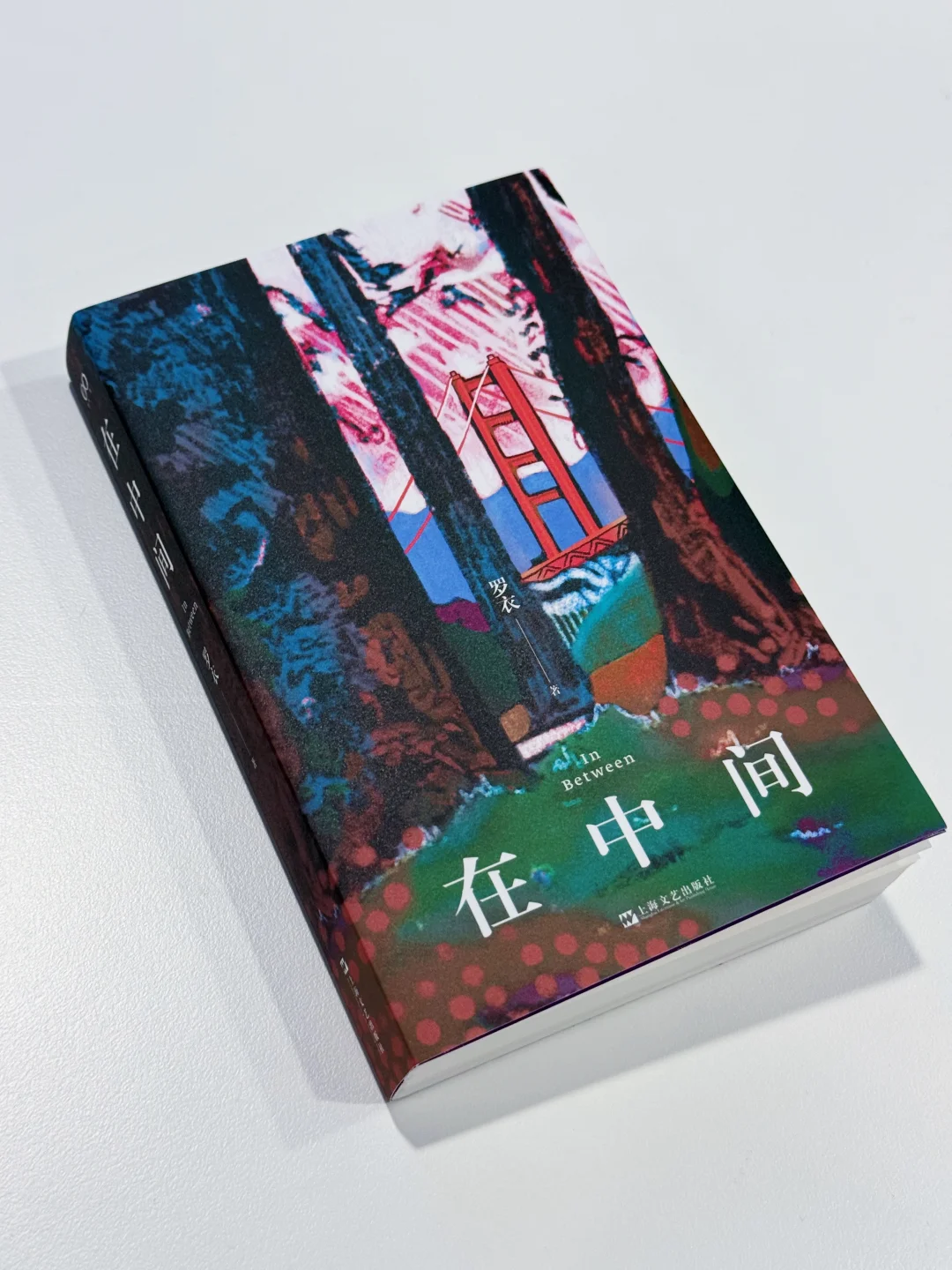 “我希望有一列从旧金山开往上海的地铁”🥃