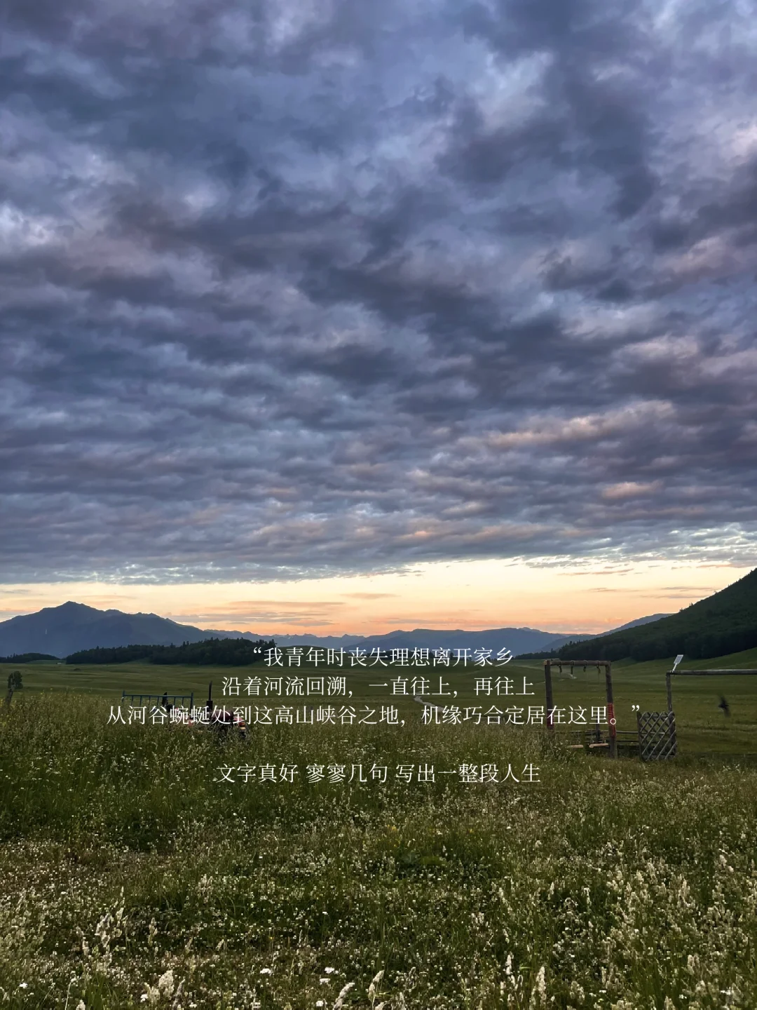 读很多书 还是过不好人生
