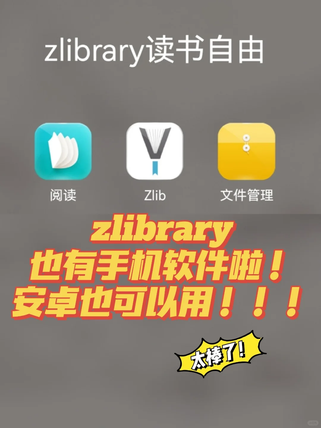 zlibrary打得开❗还有软件❗保姆级实用教程