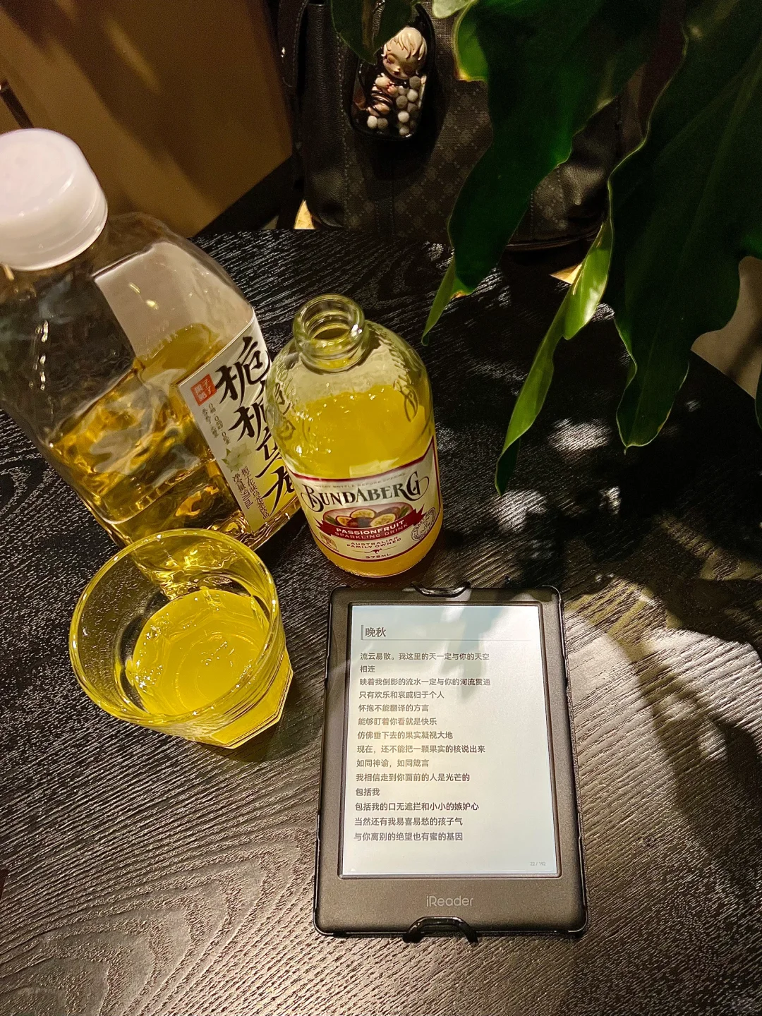 📖 掌阅iReader Light3:我的随身图书馆