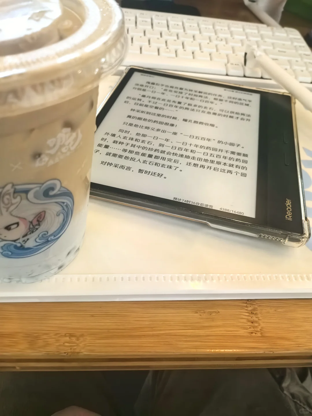 我手上使用频率最高的电纸书