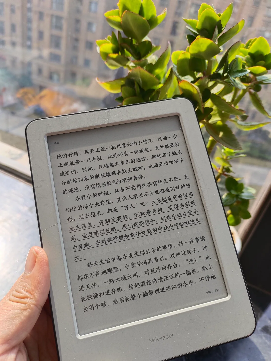 新年的微信读书装备定了