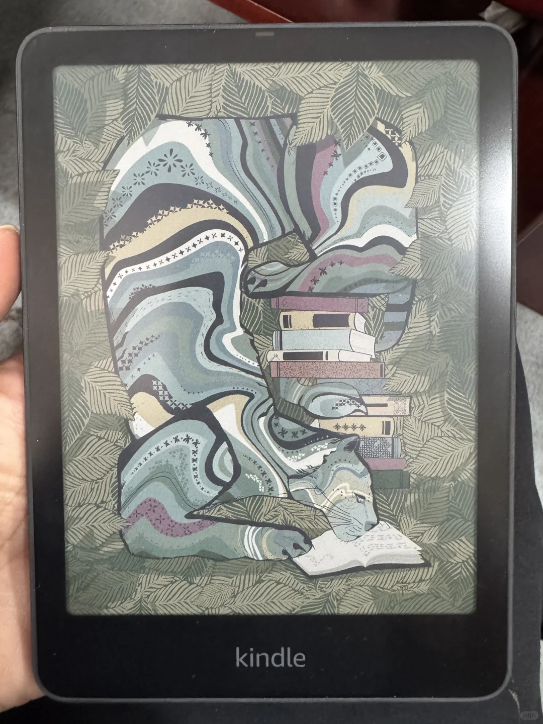 kindle colorsoft没让我失望