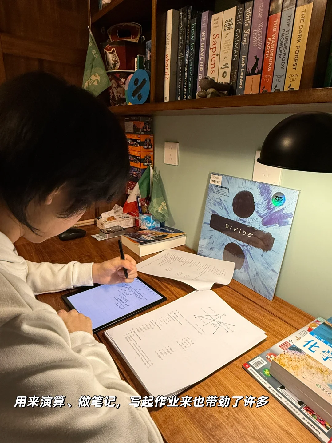 书香气+松弛感的家最养人了📚🏡