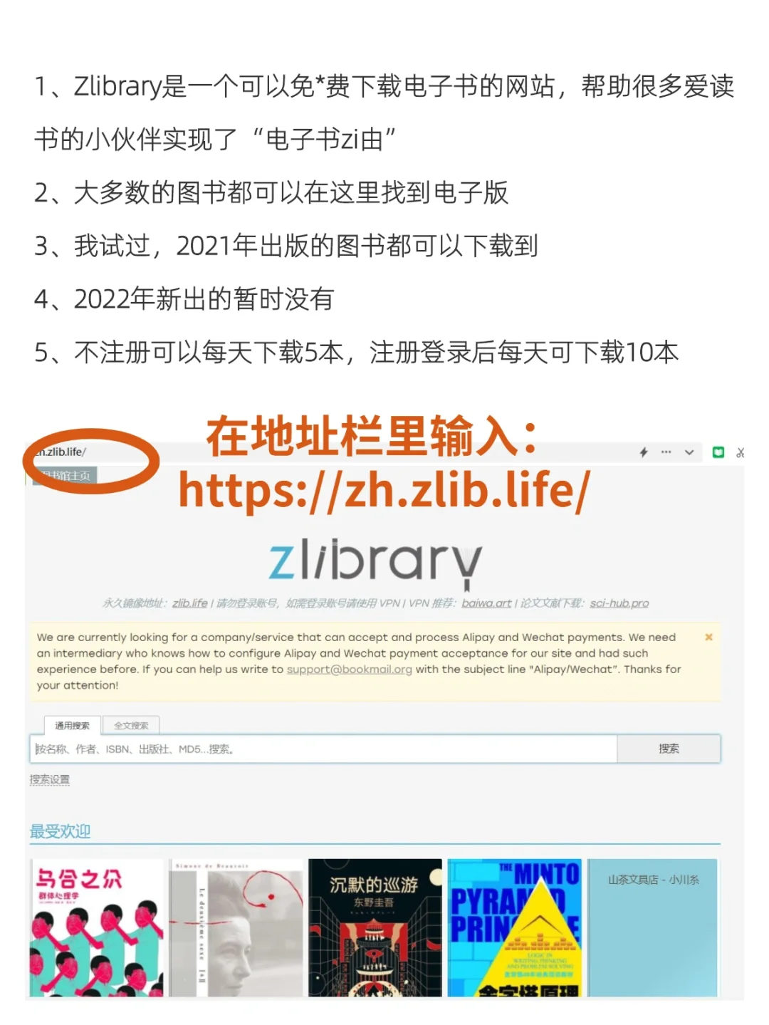 zlibrary新地址❗️刚试过可以用❗️